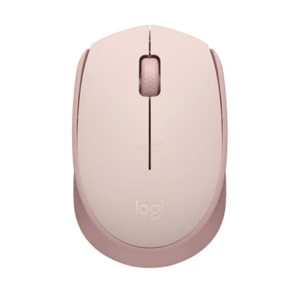 Mouse inalámbrico M170