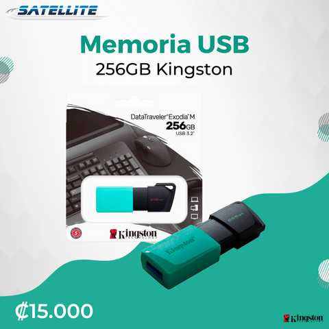 Memoria USB 256GB Kingston